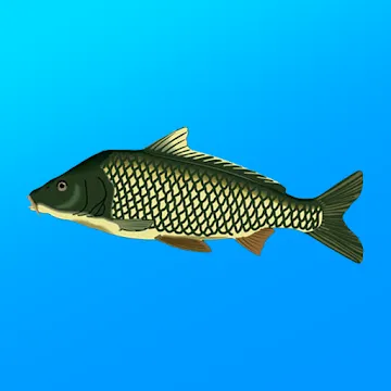 Реальная Рыбалка v1.19.2.923 MOD на Андроид