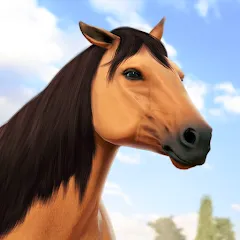 Состязание звезд: скачки